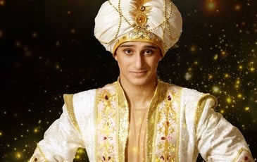 Aladdin The Circus Show : Les mille et une nuits