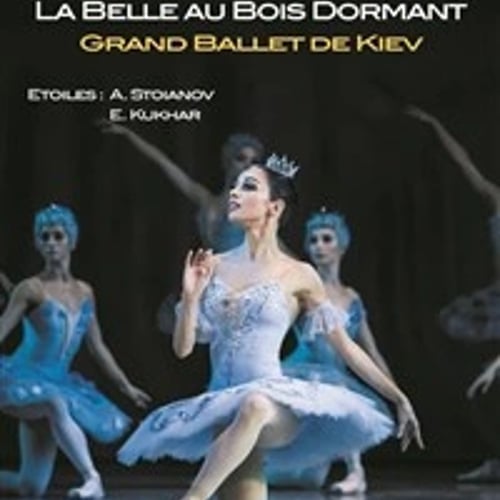 La Belle au bois dormant 1