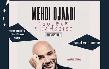 Couleur framboise – Medhi Emmanuel Djaadi