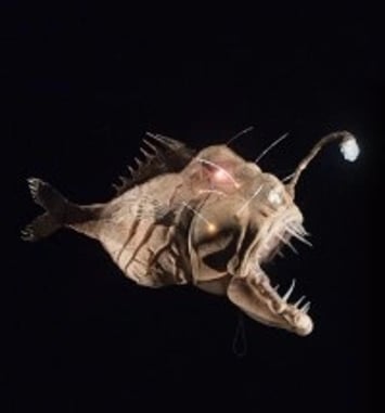 20 000 lieues sous les mers