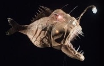 20 000 lieues sous les mers