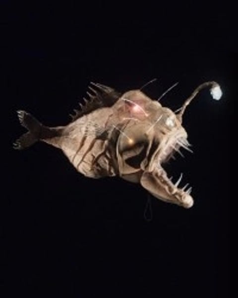 20 000 lieues sous les mers