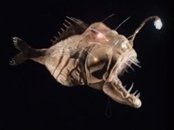 20 000 lieues sous les mers