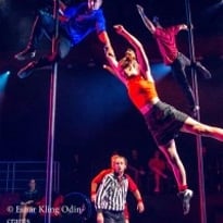Les 7 Doigts de la Main et The Attic, Les Choses Que J'ai Vues Allongée Sur Le Dos