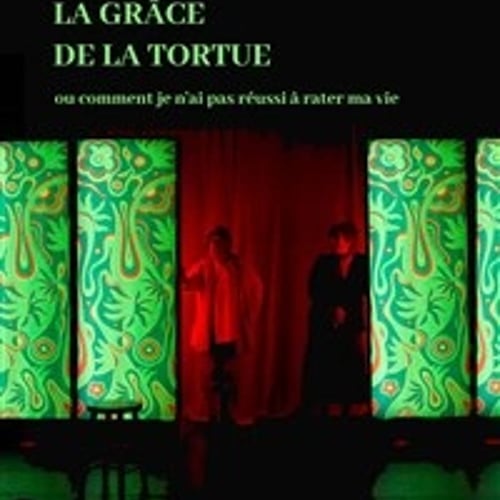 La grâce de la tortue 1