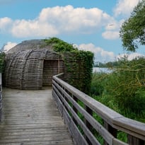 Visite de l'observatoire ornithologique