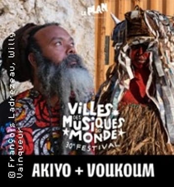 Festival Villes des Musiques du Monde