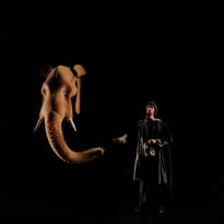Ascension - Compagnie Sitio