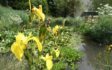 Jardin botanique de l'Université Paris-Saclay