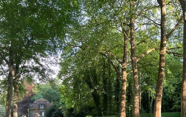 Visite du parc de Courances