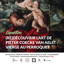 (Re)découvrir l'art de Pieter Coecke van Aelst, Vierge au perroquet