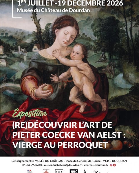 (Re)découvrir l'art de Pieter Coecke van Aelst, Vierge au perroquet
