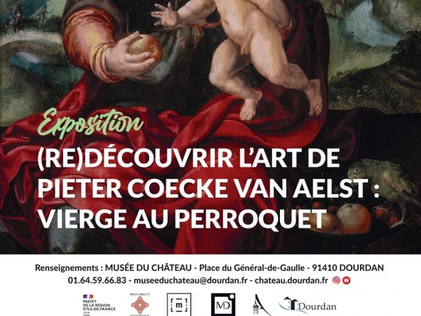 (Re)découvrir l'art de Pieter Coecke van Aelst, Vierge au perroquet