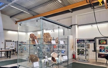 Visite du musée de minéralogie