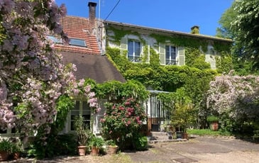 Visites au Gros Tilleul