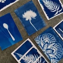 Atelier initiation au Cyanotype