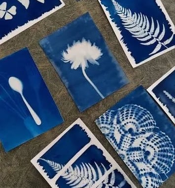Atelier initiation au Cyanotype