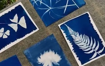 Atelier initiation au Cyanotype
