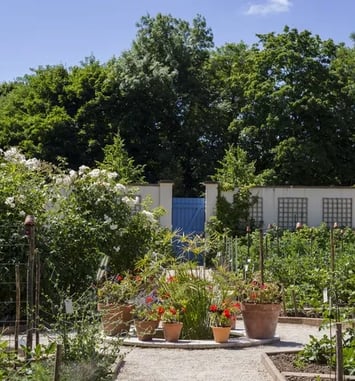 Visite libre du potager du Parc Caillebotte