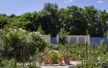Visite libre du potager du Parc Caillebotte