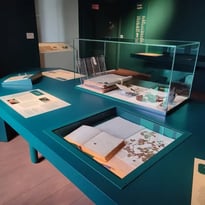 Visite guidée du Musée végétal