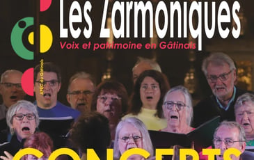 Festival Les Zarmoniques