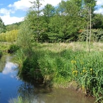 Contes de la vallée