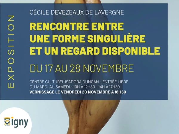 Rencontre entre une forme singulière et un regard disponible : Cécile Devezeaux de Lavergne