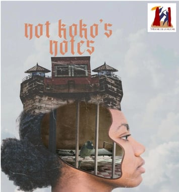 Not Koko’s Notes