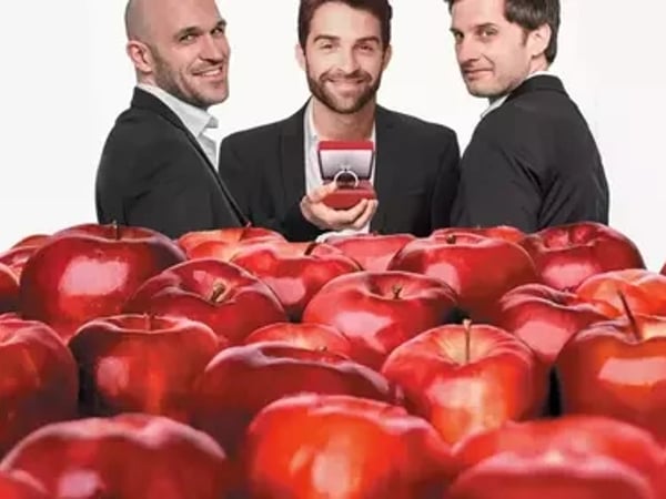 Desperate Housemen : ils se marient