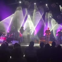 L'Essentiel Balavoine
