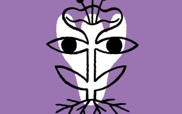 Sihr