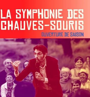 Spectacle - La Symphonie des chauves-souris