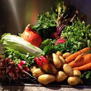 Ferme Sapousse