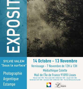 Sous la surface, exposition de Sylvie Valem