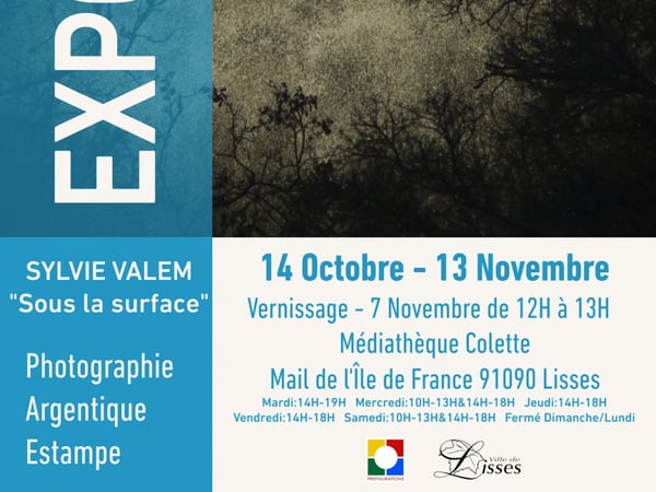 Sous la surface, exposition de Sylvie Valem