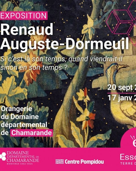 Renaud Auguste-Dormeuil : Si c'est là son temps, quand viendrait-il sinon en son temps ?