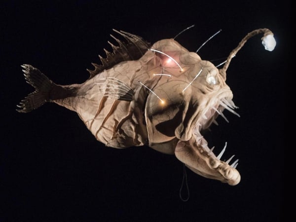 20 000 lieues sous les mers